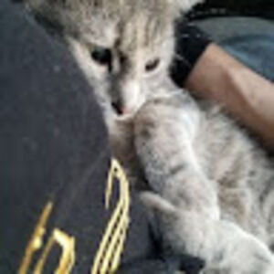 Meet your Posher, Forever Variety!